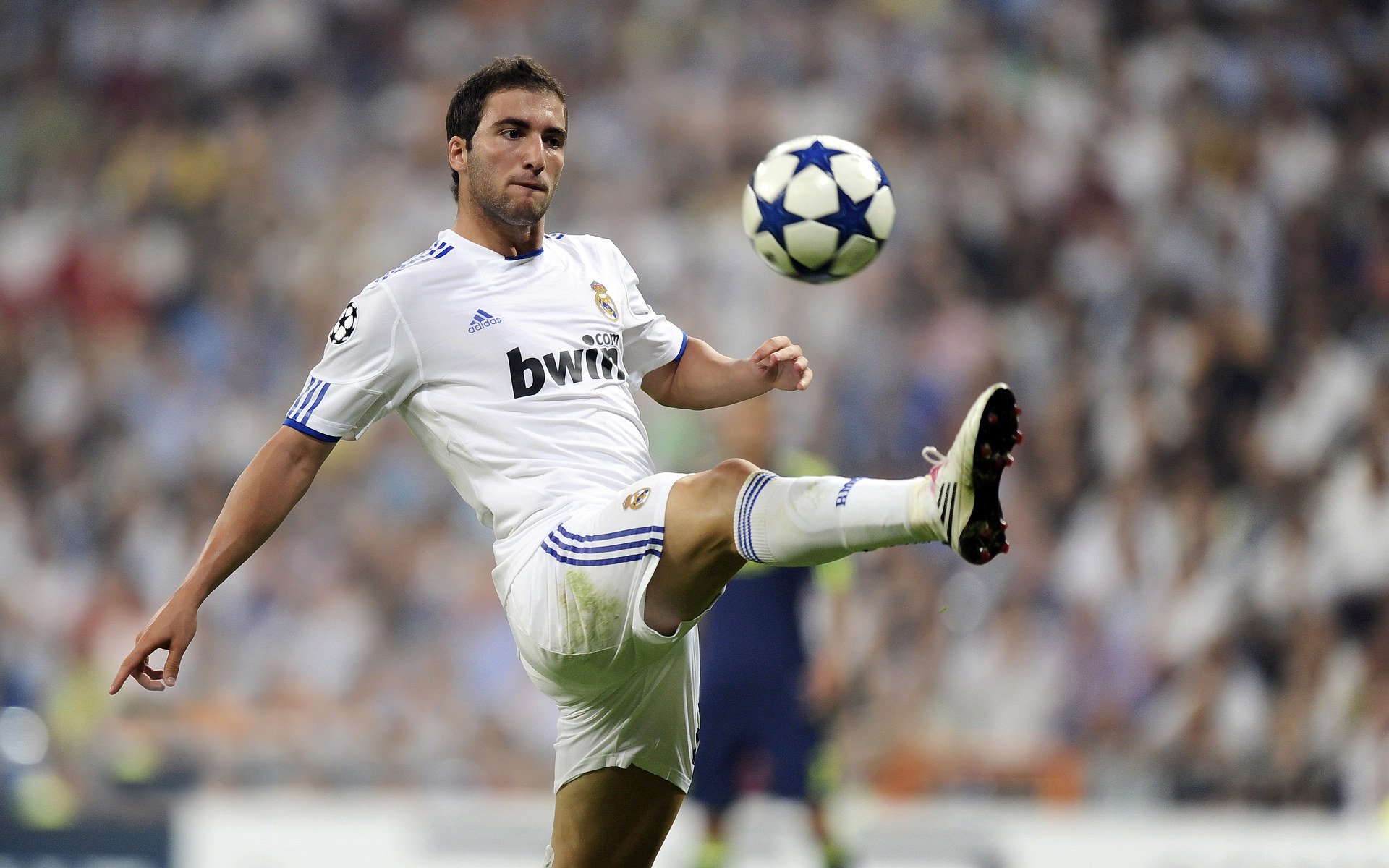 ky体育竞猜-海耶斯执教首赛季即带领美国女足问鼎奥运，海耶vs